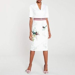 Ted Baker Molilo Tutti Frutti Dress- Ted Baker Size 2 (Size 6-8 in standard)